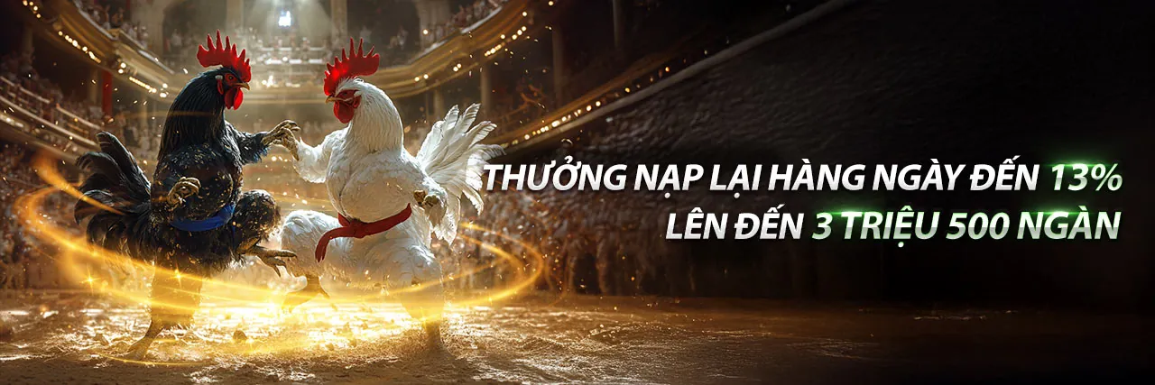 Đá Gà Trực Tuyến 23bet